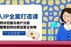 个人IP全案打造课,特长挖掘与用户分层,朋友圈策划到社群运营全攻略