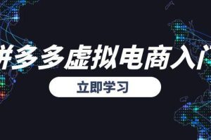 拼多多虚拟电商入门，精准选品方法论，无货源模式起盘技巧