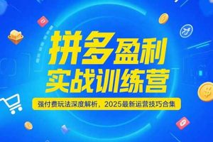 拼多多盈利实战训练营,强付费玩法深度解析,2025运营技巧合集-更新6月