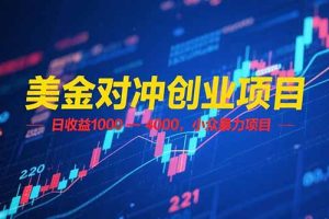 美金对冲创业项目，日收益 1000 – 4000，小众暴力项目