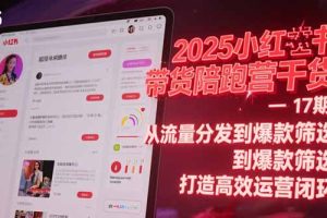 :从流量分发到爆款筛选 打造高效运营闭环