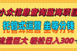稳定日入300+,小众信息查询蓝海项目,全程懒人式托管,解放你的时间