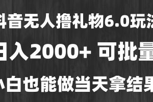 稳定 一天收益2000+，小白当天…