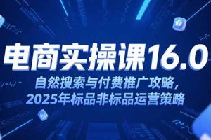 淘宝电商运营课16.0，自然搜索与付费推广攻略，2025年标品非标品运营策略