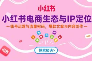 小红书电商生态与IP定位，账号运营与流量密码，爆款文案与内容创作