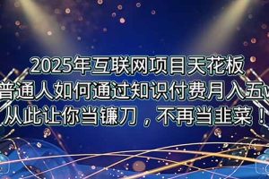 2025年互联网项目天花板,普通人如何通过卖项目实现逆风翻盘,月入5W+!