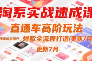 淘系实战速成课，直通车高阶玩法，搜索流量提升，爆款全流程打造(更新7月)
