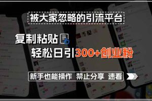 被大家忽略的引流平台，复制粘贴轻松日引300+创业粉，新手也能操作，禁…