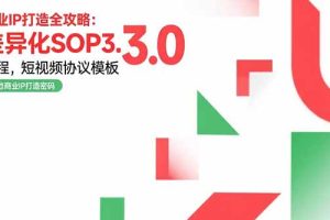 商业IP打造全攻略：差异化SOP3.0流程，短视频协议模板，婚恋项目实战案例