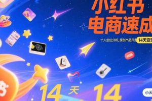 小红书虚拟电商速成课：个人定位分析，原创产品开发，14天变现路径规划