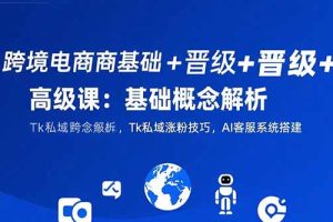 跨境电商基础+晋级+高级课：基础概念解析,Tk私域涨粉技巧,AI客服系统搭建