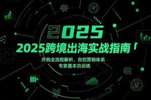 2025跨境出海实战指南，并购全流程解析，自创营销体系，专家基本功训练