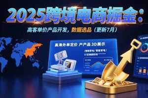 2025跨境电商掘金：蓝海市场定位，高客单价产品开发，数据选品(更新7月)