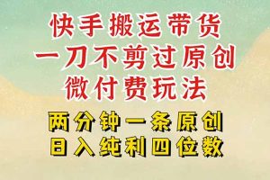 快手黑科技搬运带货，一刀不剪过原创，微付费投流玩法，轻松日入四位数…