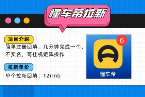 懂车帝邪修拉新玩法，简单注册回填，不sm，单个拉新12rmb，轻松日入200+