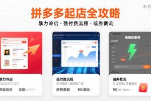 拼多多起店全攻略，暴力冷启，强付费流程，暗券截流，5-7月已验证的方法