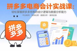 拼多多电商会计实战课：轻松掌握拼多多特有的会计逻辑与数据分析能力