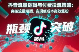 抖音流量逻辑与付费投流策略：突破流量瓶颈，实现低成本高效涨粉