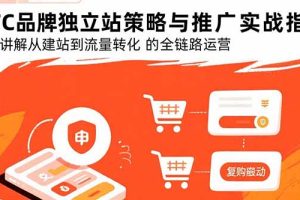 DTC品牌独立站策略与推广实战指南，系统讲解从建站到流量转化的全链路运营