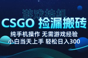 8月最新游戏搬砖，CSGO纯挂机，不需要玩游戏，实现真挂机，月入1W+