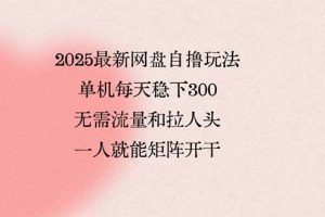2025最新网盘自撸玩法，单机每天稳下3张，无需流量和拉人头，一个人就…