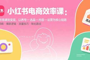 小红书电商效率课：从账号搭建到变现，以养号-选品-内容-运营为核心链路