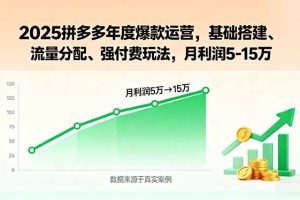 2025拼多多年度爆款运营，基础搭建、流量分配、强付费玩法，月利润5-15万