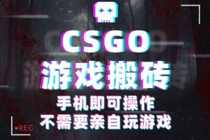 CSGO游戏挂机捡漏，单日扫货500+，年底小高峰上车可吃肉，手机即可操作…