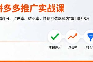 拼多多推广实战课，店铺评分、点击率、转化率，快速打造爆款店铺月赚5.8万
