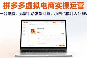 拼多多虚拟电商实操运营，一台电脑，无需手动发货回复，小白也能月入1-5W