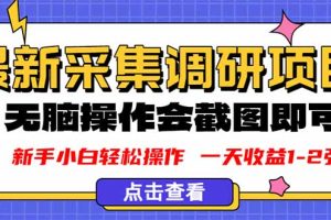 新版采集调研项目，截图上传即可，无脑操作，日收益1-2张