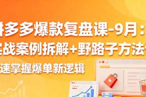 拼多多爆款复盘课-9月：实战案例拆解+野路子方法论，快速掌握爆单新逻辑