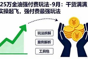 2025万金油强付费玩法-9月：干货满满，全程实操起飞，强付费最强玩法