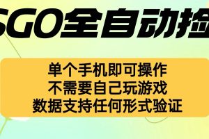 自动挂机捡漏，不用自己挂机不用玩游戏，一个手机即可操作。新手小白轻…