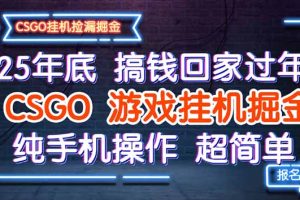 25年底搞钱回家过年，CSGO游戏挂机掘金，纯手机操作超简单