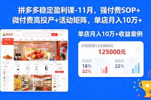 拼多多稳定盈利课-11月，强付费SOP+微付费高投产+活动矩阵，单店月入10万+