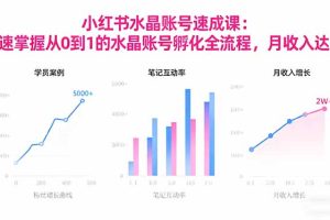 2025小红书水晶账号速成课：快速掌握从0-1水晶账号孵化全流程，月收入达2w