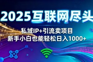 2025网创尽头王炸项目!私域 IP + 精准引流,新手小白在家躺赚日入 1000+