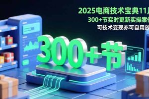 2025电商技术宝典11月：200+节实时更新实操案例，可技术变现亦可自用放大