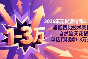 2026年无货源电商2.0:超低费比技术突破自然流天花板,单店月利润1-3万元