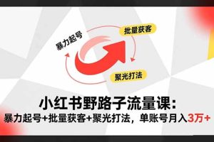 小红书野路子流量课：暴力起号+批量获客+聚光打法，单账号月入3万+
