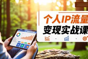 个人IP流量变现实战课,涵盖多平台引流、打造个人IP并实现稳定流量变现
