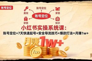 小红书实操系统课:账号定位+7天快速起号+安全导流技巧+爆款打法=月赚1w+