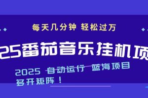 2025最新挂机番茄音乐项目,每天几分钟,日入1000+