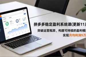拼多多稳定盈利系统课(更新11月)，突破运营瓶颈，构建可持续的盈利模型，实现月均利润5万+