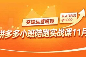 拼多多小班陪跑实战课11月,强付费矩阵、原价活动、暗券引流,突破运营瓶颈,单店日利润破5000