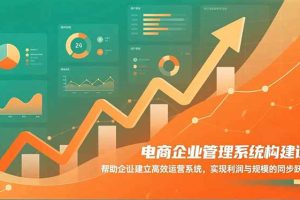 电商企业管理系统构建课：帮助企业建立高效运营系统，实现利润与规模的同步跃升