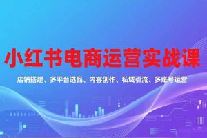 小红书电商运营实战课，店铺搭建、多平台选品、内容创作、私域引流、多账号运营等玩法