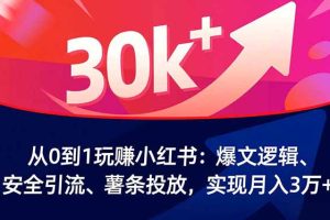 从0到1玩赚小红书：爆文逻辑、安全引流、薯条投放，实现月入3万+
