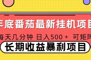 2025年最新番茄音乐人挂机项目，每天几分钟，月入1000＋，可矩阵，一台电脑支持多个账号